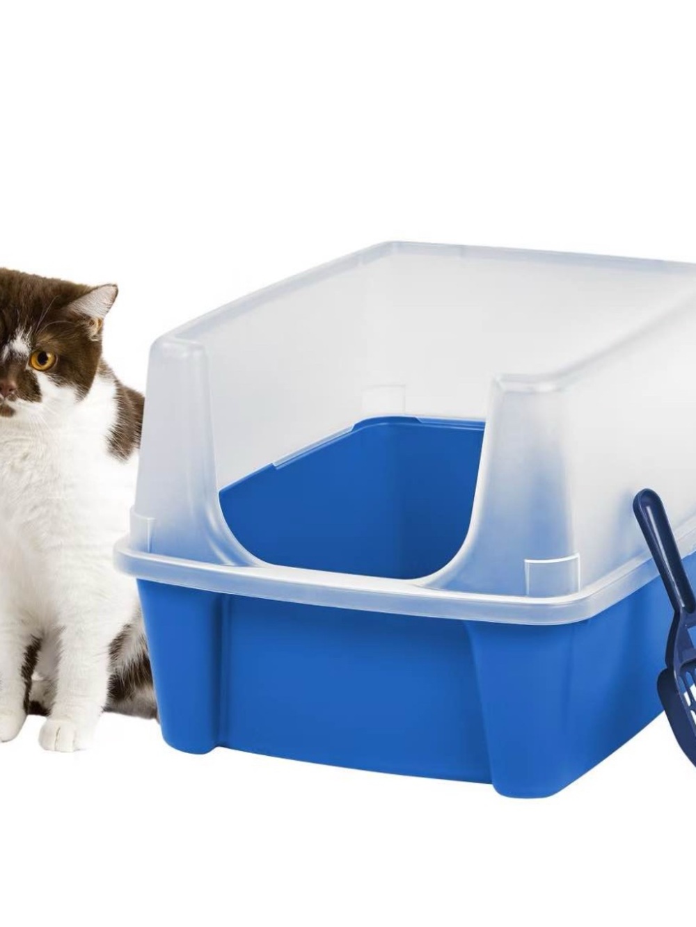🆕 NEW IRIS Open Top Cat Litter Box with Scoop and Scatter Shield Litter Pan Blue